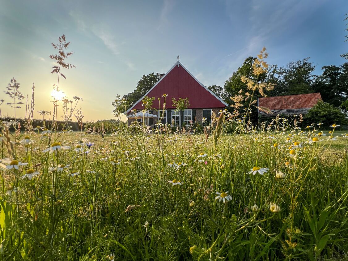 Ontwerp zonder titel 2