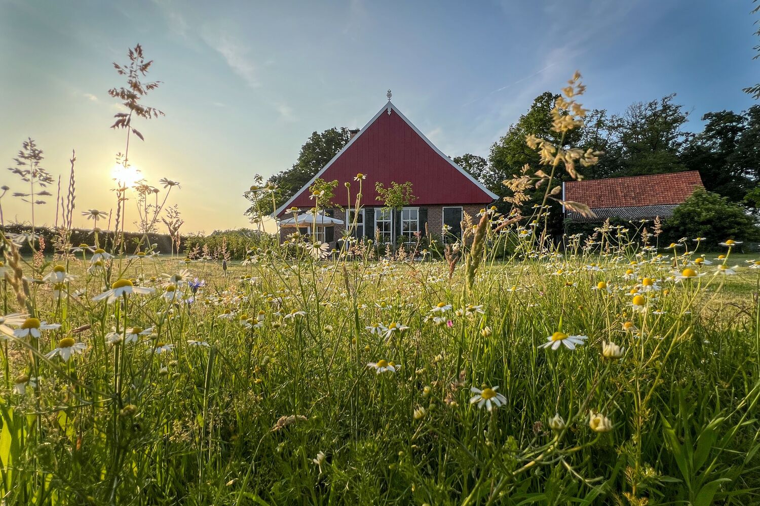 Ontwerp zonder titel 2